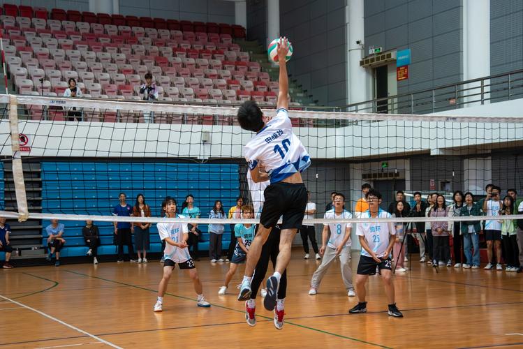 上海市中小学生排球联赛2023